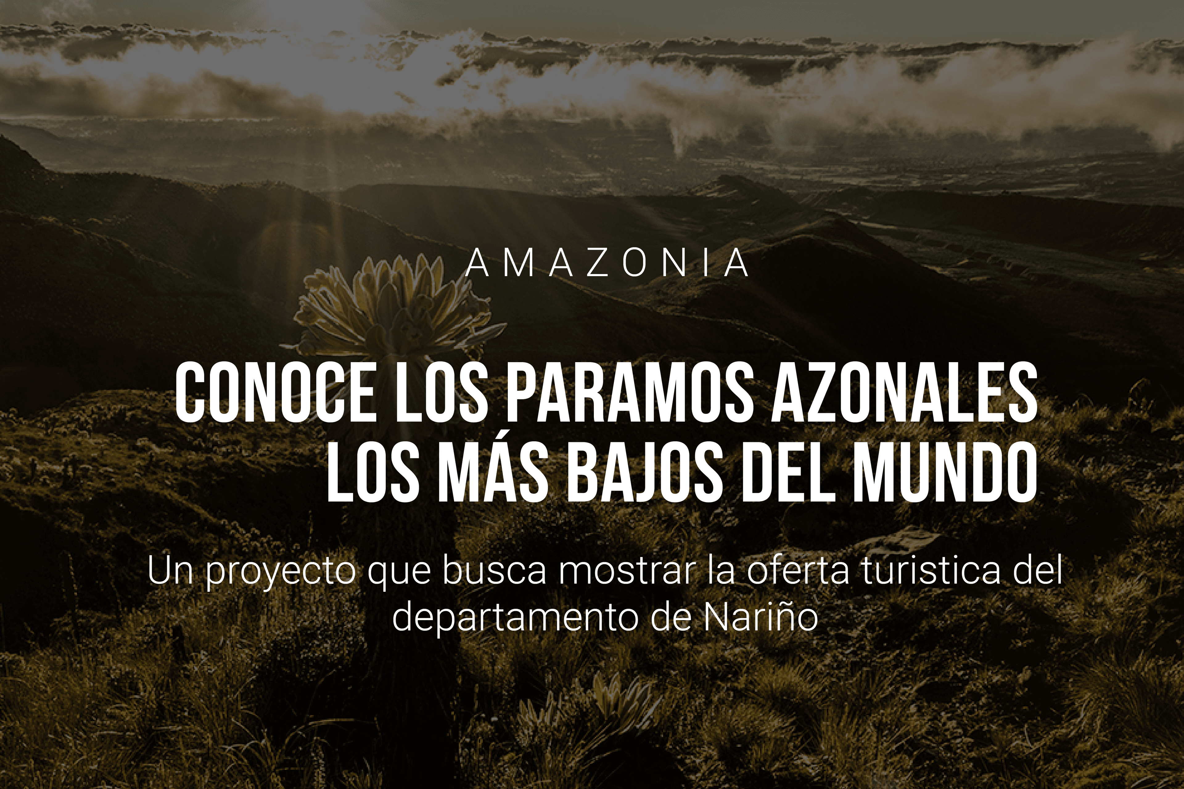 Conoce los Páramos Azonales, los más bajos del mundo