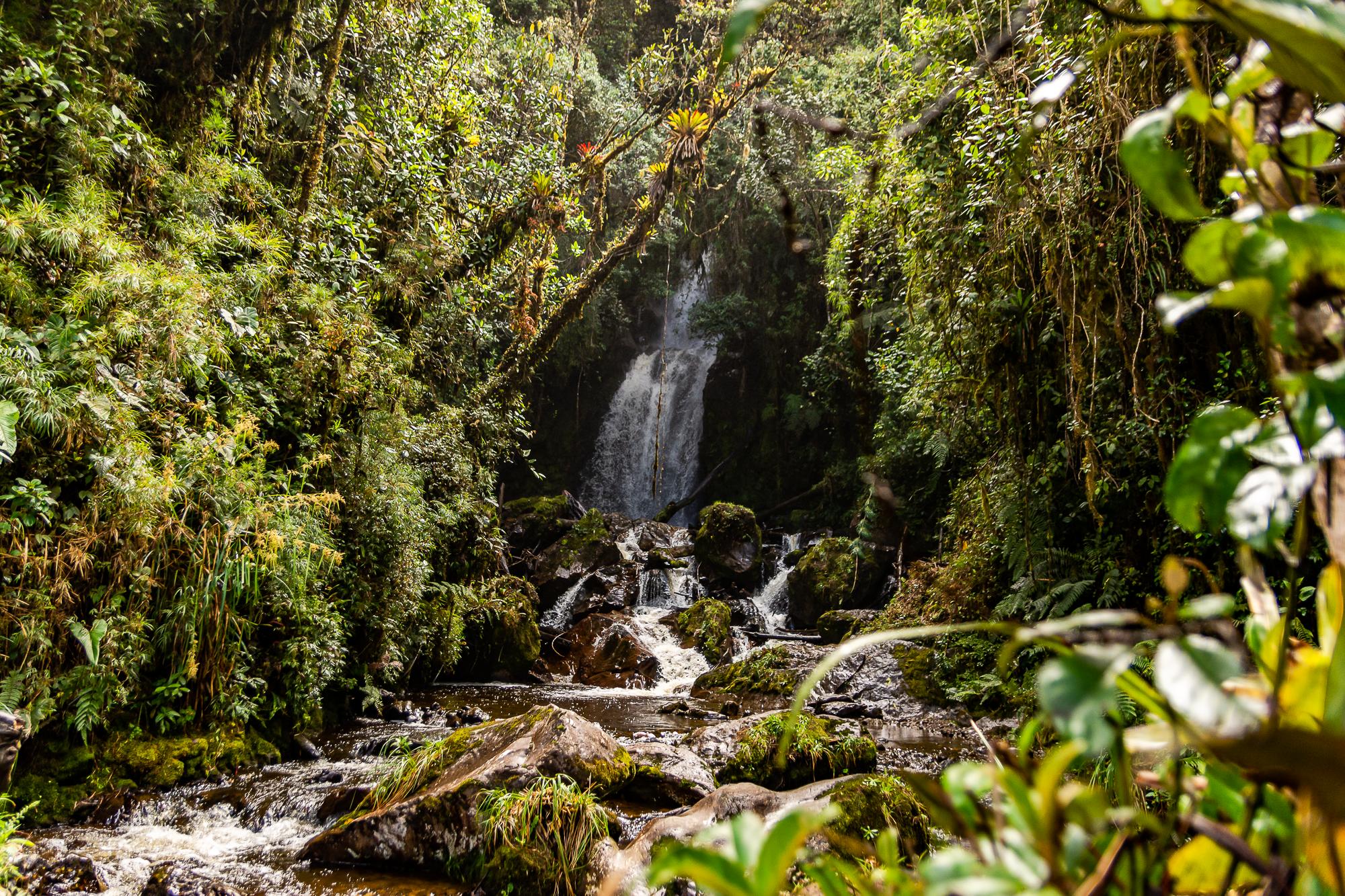 Paisaje de Nariño 6